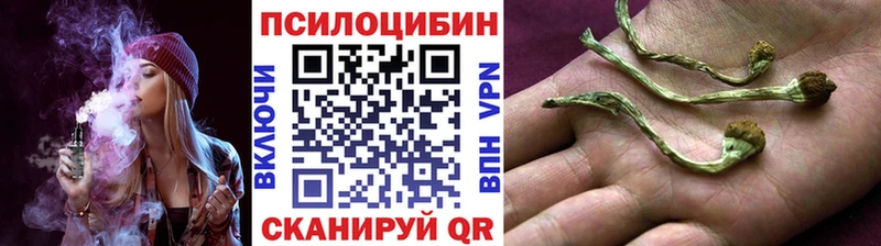 KRAKEN ТОР  Луза  Псилоцибиновые грибы прущие грибы  купить закладку 
